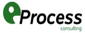 eProcess Consulting